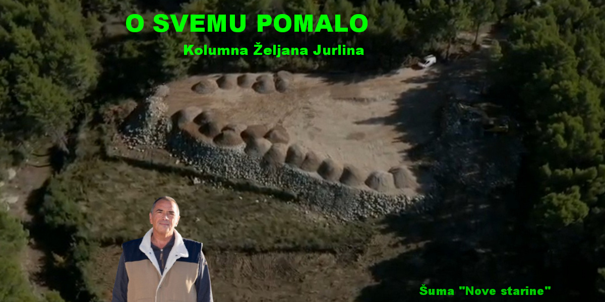 Kolumna Željana Jurlina, Javno Dobro