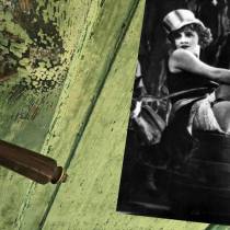 ''AP'' kao simbol vazalstva i vandalizma Hrvatske 